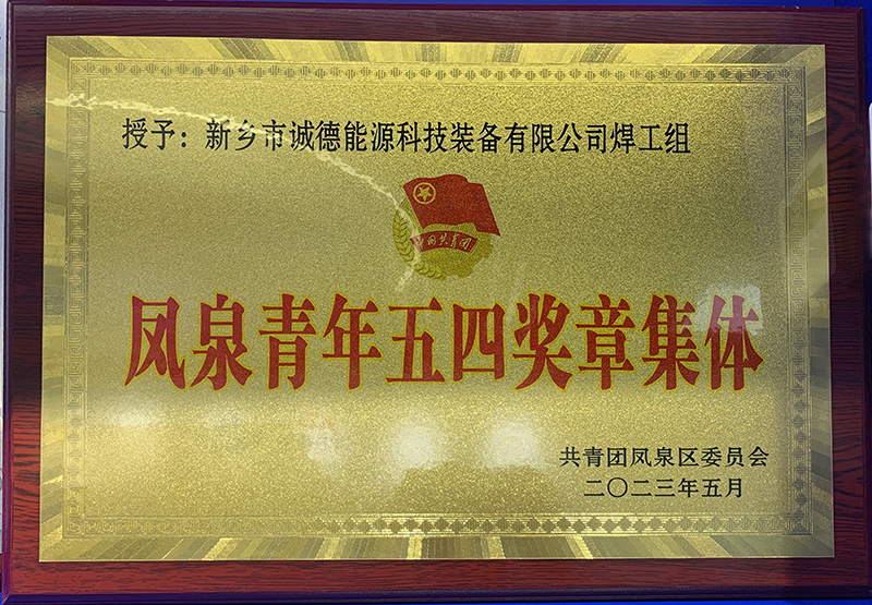 凤泉青年五四奖章集体(tǐ)